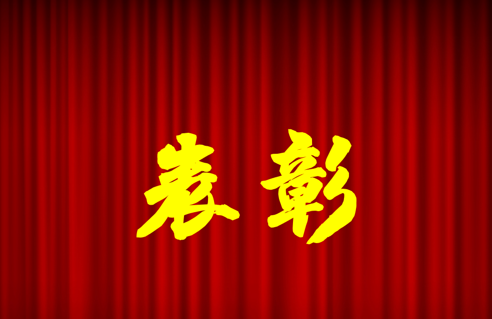 逐光前行、榮耀共鑒 | 公司2024年度表彰來啦！